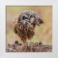 thumbnail image 1 of Taksing 20x20 White Modern Wood Framed Museum Art Print Titled - N/A, 1 of 4