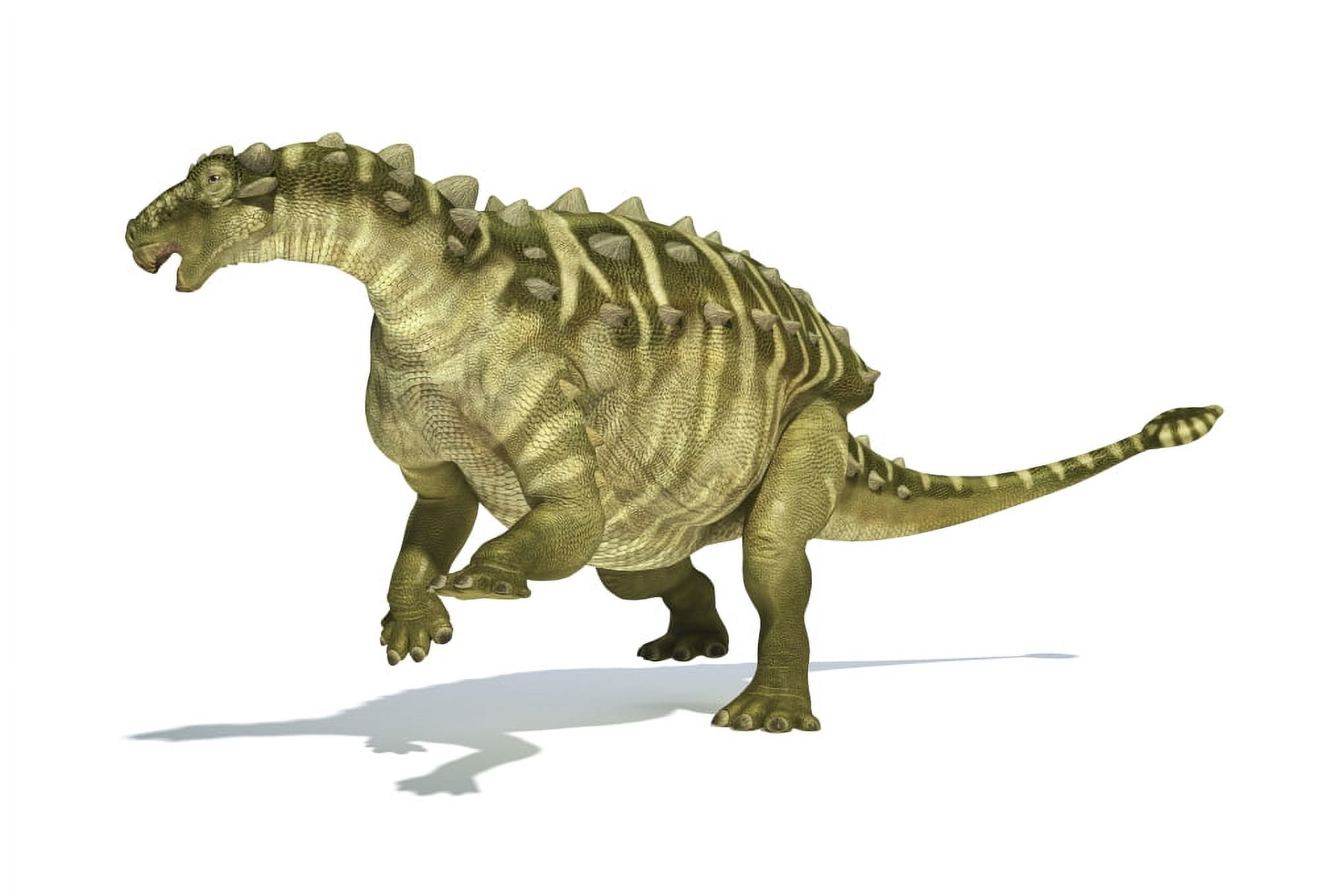 Talarurus dinosaur on white background Canvas Art - Leonello CalvettiStocktrek Images (34 x 24)