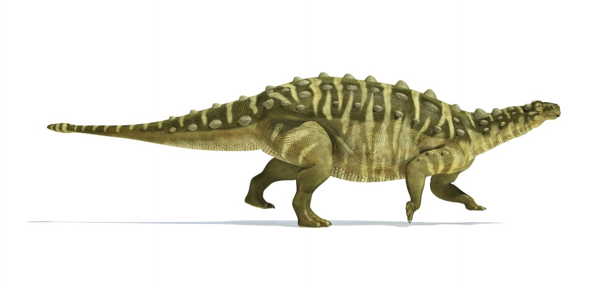 Talarurus dinosaur on white background Canvas Art - Leonello CalvettiStocktrek Images (41 x 20)