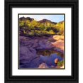 thumbnail image 1 of Talbot Frank, Christopher 12x14 Black Ornate Wood Framed with Double Matting Museum Art Print Titled - AZ Spring with Organ Pipe cacti along a stream, 1 of 4