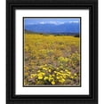 thumbnail image 1 of Talbot Frank, Christopher 12x14 Black Ornate Wood Framed with Double Matting Museum Art Print Titled - CA, Sierra Nevada flowers in the Owens Valley, 1 of 4