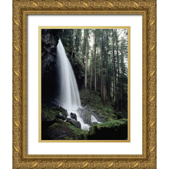 Talbot Frank, Christopher 12x14 Gold Ornate Wood Framed with Double Matting Museum Art Print Titled - USA, Oregon, A waterfall in an old-growth forest