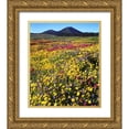 thumbnail image 1 of Talbot Frank, Christopher 12x14 Gold Ornate Wood Framed with Double Matting Museum Art Print Titled - California, Cuyamaca Rancho SP Flower landscape, 1 of 4