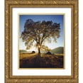 thumbnail image 1 of Talbot Frank, Christopher 12x14 Gold Ornate Wood Framed with Double Matting Museum Art Print Titled - California, San Diego Black Oak Tree in Autumn, 1 of 4