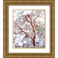 thumbnail image 1 of Talbot Frank, Christopher 12x14 Gold Ornate Wood Framed with Double Matting Museum Art Print Titled - USA, California A snow-covered manzanita bush, 1 of 4