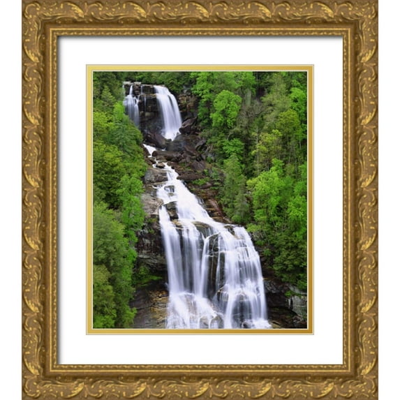 Talbot Frank, Christopher 12x14 Gold Ornate Wood Framed with Double Matting Museum Art Print Titled - USA, Whitewater Falls in South Carolina