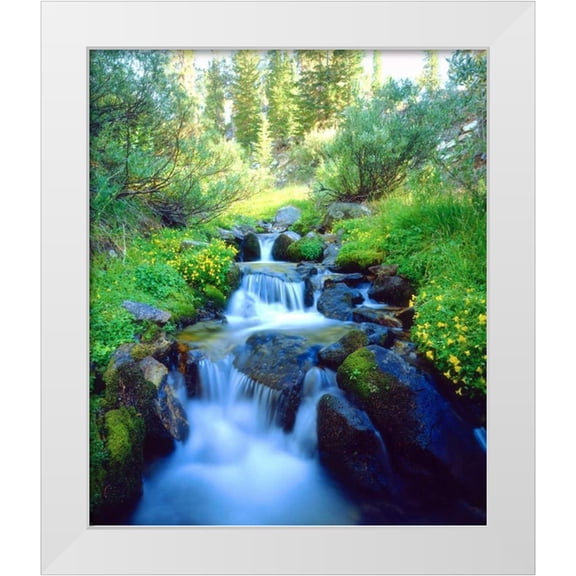 Talbot Frank, Christopher 12x14 White Modern Wood Framed Museum Art Print Titled - California Sky Meadows in the Sierra Nevada Mts