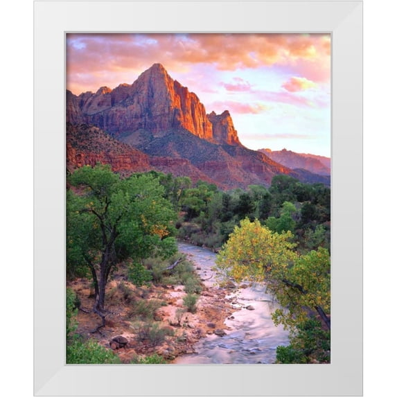 Talbot Frank, Christopher 12x14 White Modern Wood Framed Museum Art Print Titled - Utah, Zion NP at Sunset