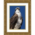 thumbnail image 1 of Talbot Frank, Christopher 13x18 Gold Ornate Wood Framed with Double Matting Museum Art Print Titled - USA, California, La Jolla Rare Osprey, 1 of 4