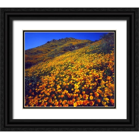Talbot Frank, Christopher 14x12 Black Ornate Wood Framed with Double Matting Museum Art Print Titled - California, Lake Elsinore California poppies