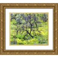 thumbnail image 1 of Talbot Frank, Christopher 14x12 Gold Ornate Wood Framed with Double Matting Museum Art Print Titled - CA, San Diego Mustard plants in Cleveland NF, 1 of 4