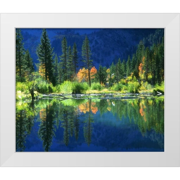 Talbot Frank, Christopher 14x12 White Modern Wood Framed Museum Art Print Titled - California, Sierra Nevada Mts, A beaver pond