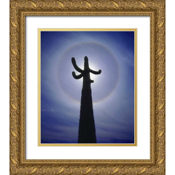 Talbot Frank, Christopher 15x17 Gold Ornate Wood Framed with Double Matting Museum Art Print Titled - AZ, Organ Pipe Cactus Saguaro cactus with a halo