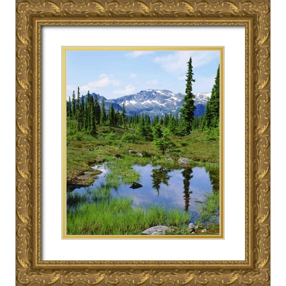 Talbot Frank, Christopher 15x17 Gold Ornate Wood Framed with Double Matting Museum Art Print Titled - Canada, BC, Vancouver A tarn in the country