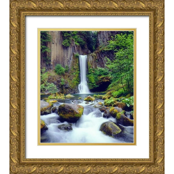 Talbot Frank, Christopher 15x17 Gold Ornate Wood Framed with Double Matting Museum Art Print Titled - Oregon, Toketee Waterfall and Basalt Formation