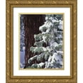 thumbnail image 1 of Talbot Frank, Christopher 15x18 Gold Ornate Wood Framed with Double Matting Museum Art Print Titled - CA, Sierra Nevada Snow-covered red fir trees, 1 of 4