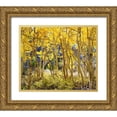 thumbnail image 1 of Talbot Frank, Christopher 17x15 Gold Ornate Wood Framed with Double Matting Museum Art Print Titled - California, Sierra Nevada, Fall colors of Aspens, 1 of 4