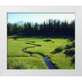 thumbnail image 1 of Talbot Frank, Christopher 17x15 White Modern Wood Framed Museum Art Print Titled - WY, Grand Tetons Grand Tetons and a lush meadow, 1 of 4