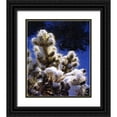 thumbnail image 1 of Talbot Frank, Christopher 20x23 Black Ornate Wood Framed with Double Matting Museum Art Print Titled - CA, Joshua Tree NP Snow-covered Cholla Cactus, 1 of 4