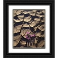 thumbnail image 1 of Talbot Frank, Christopher 20x23 Black Ornate Wood Framed with Double Matting Museum Art Print Titled - California, Anza-Borrego Desert Sand Verbena, 1 of 4
