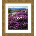thumbnail image 1 of Talbot Frank, Christopher 20x23 Gold Ornate Wood Framed with Double Matting Museum Art Print Titled - CA, Anza-Borrego Desert wildflowers, 1 of 4
