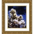 thumbnail image 1 of Talbot Frank, Christopher 20x23 Gold Ornate Wood Framed with Double Matting Museum Art Print Titled - CA, Joshua Tree NP Snow-covered Cholla Cactus, 1 of 4