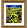 thumbnail image 1 of Talbot Frank, Christopher 20x23 Gold Ornate Wood Framed with Double Matting Museum Art Print Titled - CA, Sierra Nevada flowers in the High Sierra, 1 of 4