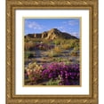 thumbnail image 1 of Talbot Frank, Christopher 20x23 Gold Ornate Wood Framed with Double Matting Museum Art Print Titled - California, Anza-Borrego A mix of flowers, 1 of 4