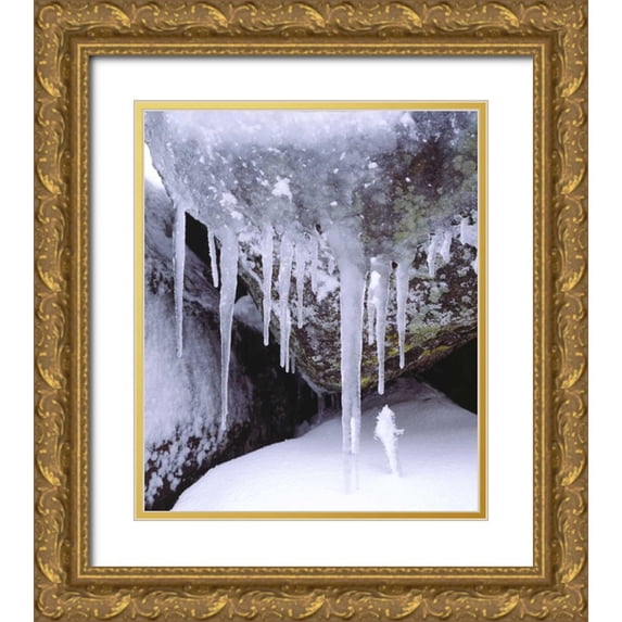 Talbot Frank, Christopher 20x23 Gold Ornate Wood Framed with Double Matting Museum Art Print Titled - California, Icicles in the Cleveland NF