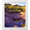 thumbnail image 1 of Talbot Frank, Christopher 20x23 White Modern Wood Framed Museum Art Print Titled - AZ Spring with Organ Pipe cacti along a stream, 1 of 4