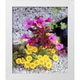 thumbnail image 1 of Talbot Frank, Christopher 20x23 White Modern Wood Framed Museum Art Print Titled - CA, Anza-Borrego Daisy and monkey flowers, 1 of 4