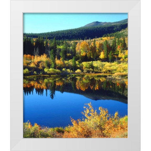 Talbot Frank, Christopher 20x23 White Modern Wood Framed Museum Art Print Titled - CA, Sierra Nevada Beaver Pond in autumn
