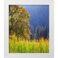thumbnail image 1 of Talbot Frank, Christopher 20x23 White Modern Wood Framed Museum Art Print Titled - California, Yosemite Oak with autumn foliage, 1 of 4