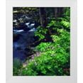 thumbnail image 1 of Talbot Frank, Christopher 20x23 White Modern Wood Framed Museum Art Print Titled - TN, flowers along a stream in The Great Smoky Mts, 1 of 4