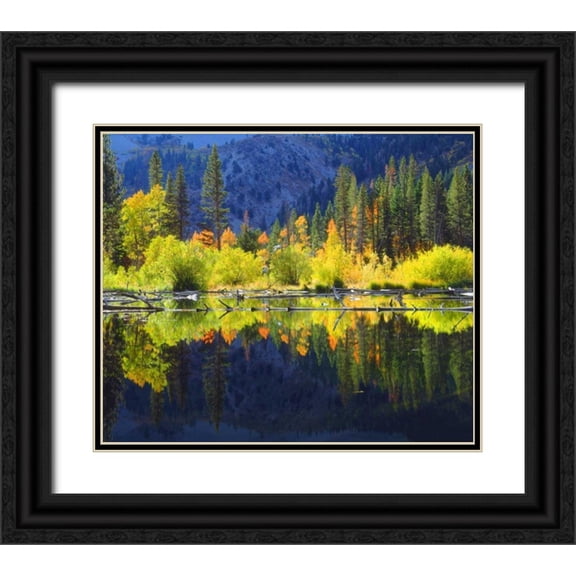 Talbot Frank, Christopher 23x20 Black Ornate Wood Framed with Double Matting Museum Art Print Titled - CA, A beaver pond in the Sierra Nevada in autumn