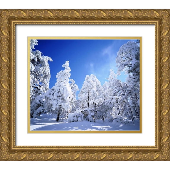 Talbot Frank, Christopher 23x20 Gold Ornate Wood Framed with Double Matting Museum Art Print Titled - California, Cleveland NF, Laguna Mts Snowy trees