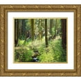 thumbnail image 1 of Talbot Frank, Christopher 23x20 Gold Ornate Wood Framed with Double Matting Museum Art Print Titled - CA, A lush forest in the Western High Sierra, 1 of 4