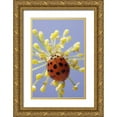 thumbnail image 1 of Talbot Frank, Christopher 23x32 Gold Ornate Wood Framed with Double Matting Museum Art Print Titled - California, San Diego, A lady beetle on a flower, 1 of 4
