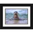 thumbnail image 1 of Talbot Frank, Christopher 24x17 Black Ornate Wood Framed with Double Matting Museum Art Print Titled - CA, La Jolla A seal swimming along the Coast, 1 of 4