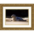 thumbnail image 1 of Talbot Frank, Christopher 24x17 Gold Ornate Wood Framed with Double Matting Museum Art Print Titled - CA, La Jolla A seal on a beach along the Coast, 1 of 4