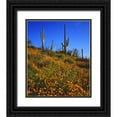 thumbnail image 1 of Talbot Frank, Christopher 26x30 Black Ornate Wood Framed with Double Matting Museum Art Print Titled - Arizona, Organ Pipe Cactus NM flowers and cacti, 1 of 4