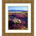 thumbnail image 1 of Talbot Frank, Christopher 26x30 Gold Ornate Wood Framed with Double Matting Museum Art Print Titled - California, Anza-Borrego Desert Desert Poppies, 1 of 4