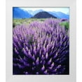 thumbnail image 1 of Talbot Frank, Christopher 26x30 White Modern Wood Framed Museum Art Print Titled - CA, Sierra Nevada Bush Lupines below Mt Whitney, 1 of 4