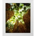 thumbnail image 1 of Talbot Frank, Christopher 26x30 White Modern Wood Framed Museum Art Print Titled - California, Anza-Borrego Desert Fan Palm trees, 1 of 4
