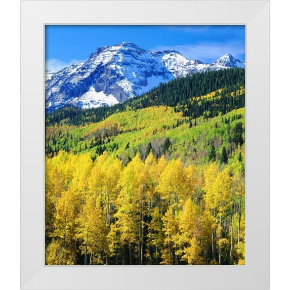 Talbot Frank, Christopher 26x30 White Modern Wood Framed Museum Art Print Titled - Colorado, Rocky Mountains, Autumn in the Rockies