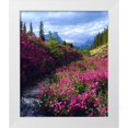 thumbnail image 1 of Talbot Frank, Christopher 26x30 White Modern Wood Framed Museum Art Print Titled - Wildflowers in Banff NP Alberta, Canada, 1 of 4
