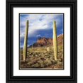 thumbnail image 1 of Talbot Frank, Christopher 26x32 Black Ornate Wood Framed with Double Matting Museum Art Print Titled - Arizona, Saguaro Cacti in Organ Pipe Cactus NM, 1 of 4