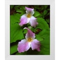 thumbnail image 1 of Talbot Frank, Christopher 26x32 White Modern Wood Framed Museum Art Print Titled - Tennessee, Great Smoky Mts Trillium flowers, 1 of 4
