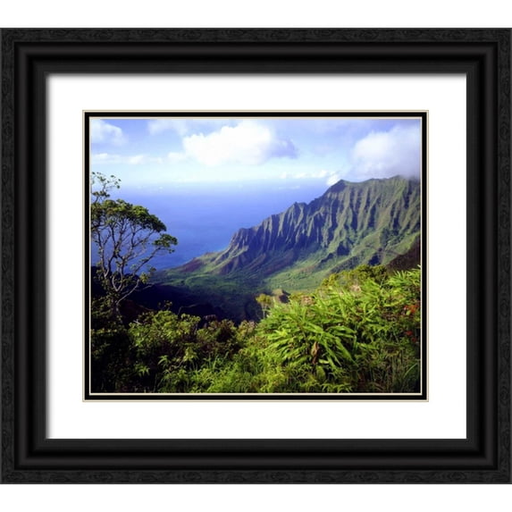 Talbot Frank, Christopher 30x26 Black Ornate Wood Framed with Double Matting Museum Art Print Titled - USA, Kauai, Hawaii View above the Na Pali Coast