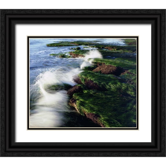 Talbot Frank, Christopher 30x26 Black Ornate Wood Framed with Double Matting Museum Art Print Titled - CA, San Diego Waves breaking on tide pools